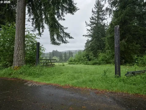 00 NE 389th Street Amboy WA 98601
