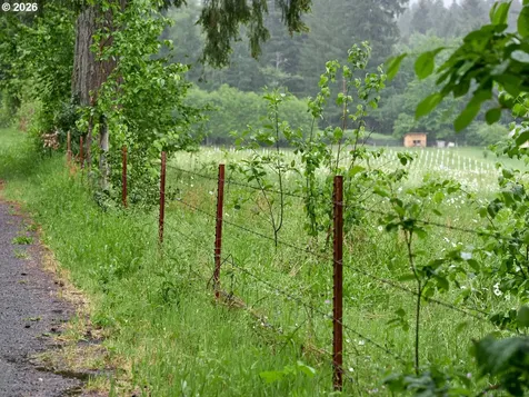 00 NE 389th Street Amboy WA 98601