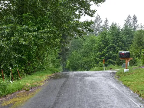 00 NE 389th Street Amboy WA 98601