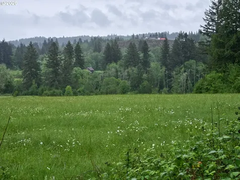 00 NE 389th Street Amboy WA 98601