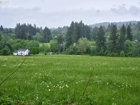 00 NE 389th Street Amboy WA 98601
