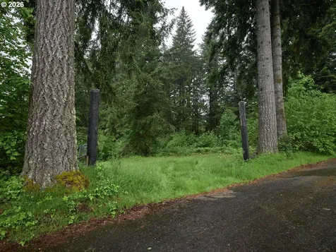 00 NE 389th Street Amboy WA 98601