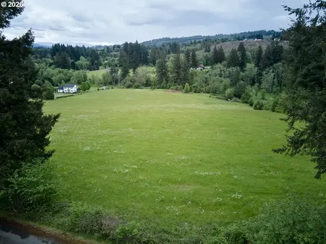 00 NE 389th Street Amboy WA 98601