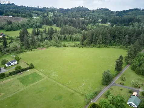 00 NE 389th Street Amboy WA 98601