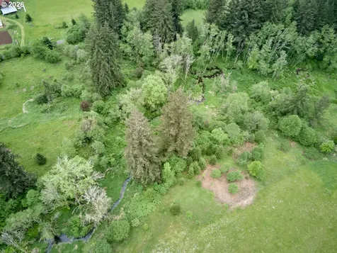 00 NE 389th Street Amboy WA 98601