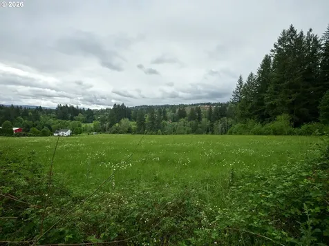 00 NE 389th Street Amboy WA 98601