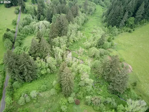 00 NE 389th Street Amboy WA 98601