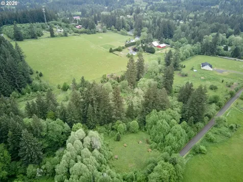 00 NE 389th Street Amboy WA 98601