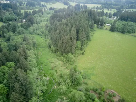 00 NE 389th Street Amboy WA 98601