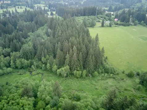00 NE 389th Street Amboy WA 98601
