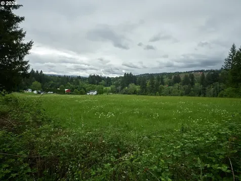 00 NE 389th Street Amboy WA 98601