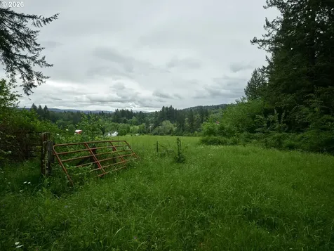 00 NE 389th Street Amboy WA 98601