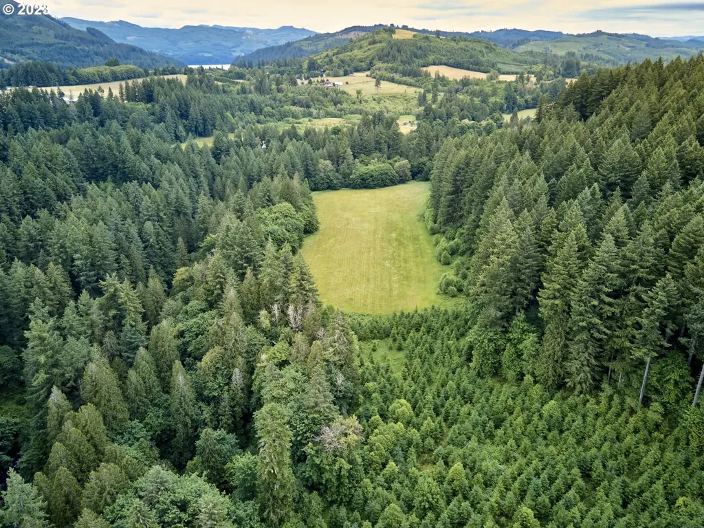 43404 Ne Grist Mill Road Woodland WA 98674