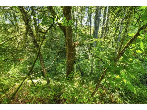 2838 Ne Cole Avenue Mcminnville OR 97128