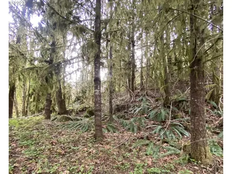 57560 Nw Wilson River Highway Gales Creek OR 97117