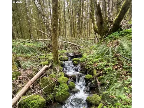57560 Nw Wilson River Highway Gales Creek OR 97117
