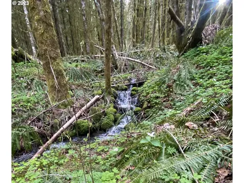 57560 Nw Wilson River Highway Gales Creek OR 97117