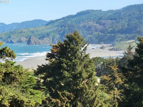 95179 Horizon Drive Gold Beach OR 97444