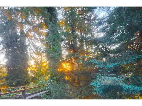 207 Laskey Road Reedsport OR 97467