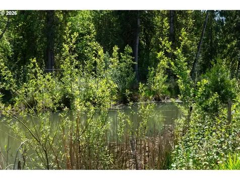 408 SW 31st Street Battle Ground WA 98604