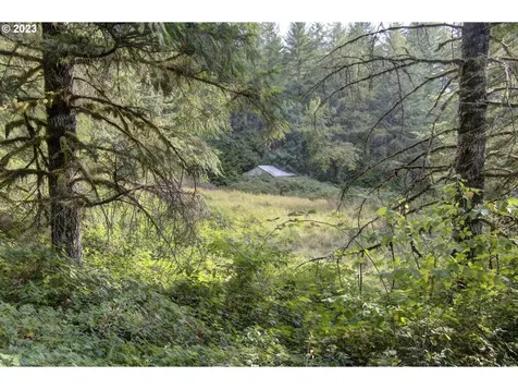 23321 Ne Gold Nugget Drive Battle Ground WA 98604