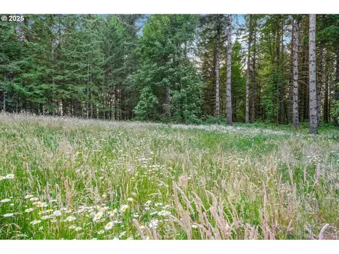 25600 NE Ridge View Drive Hillsboro OR 97123