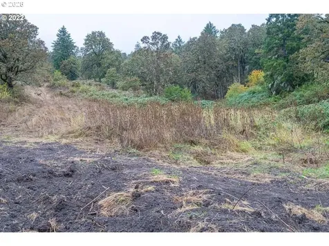 4090 NW Lincoln Avenue Yamhill OR 97148