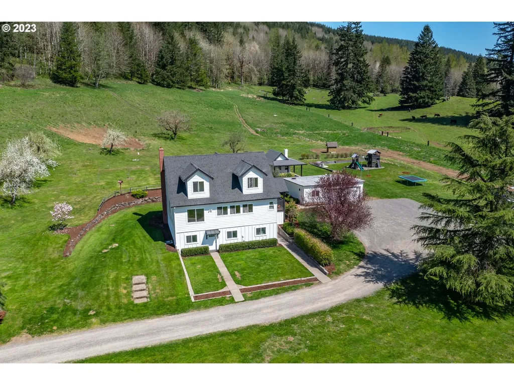 29416 Ne Healy Road Amboy WA 98601