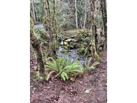 36565 Parsons Creek Road Springfield OR 97478