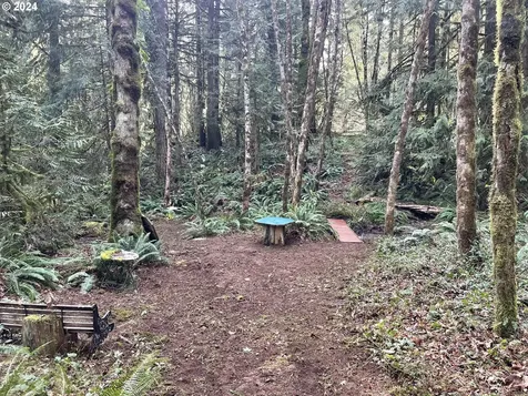 36565 Parsons Creek Road Springfield OR 97478