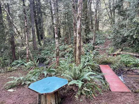36565 Parsons Creek Road Springfield OR 97478