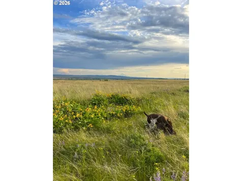 44 Wildhorse Ranch Road Goldendale WA 98620