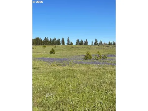 44 Wildhorse Ranch Road Goldendale WA 98620