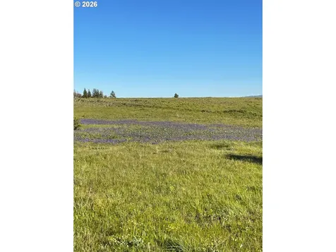 44 Wildhorse Ranch Road Goldendale WA 98620