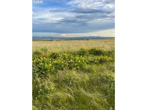 44 Wildhorse Ranch Road Goldendale WA 98620
