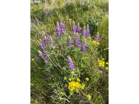 44 Wildhorse Ranch Road Goldendale WA 98620