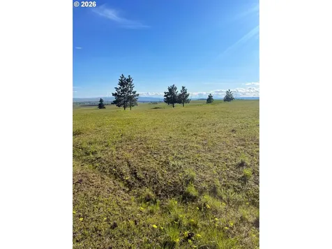 44 Wildhorse Ranch Road Goldendale WA 98620