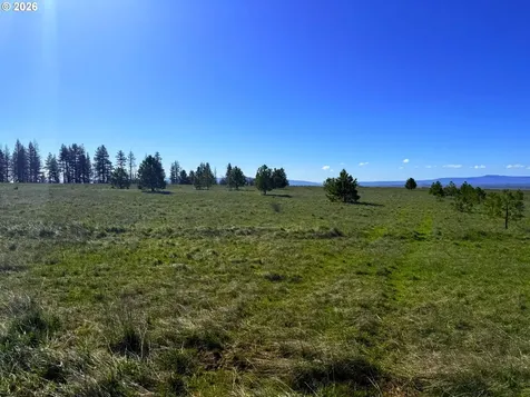 44 Wildhorse Ranch Road Goldendale WA 98620