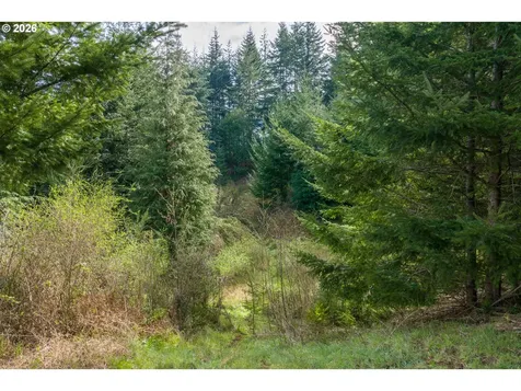 93549 Patterson Lane Coos Bay OR 97420