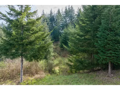 93549 Patterson Lane Coos Bay OR 97420