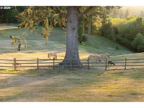 6905 NE Highland Road Otis OR 97368