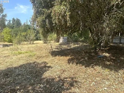 29464 S Salo Road Mulino OR 97042