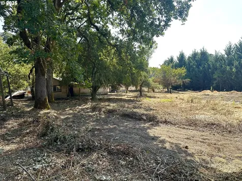 29464 S Salo Road Mulino OR 97042