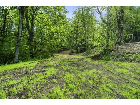 110 N Burke Road Woodland WA 98674