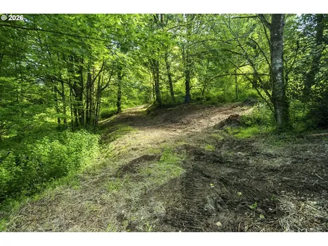 110 N Burke Road Woodland WA 98674