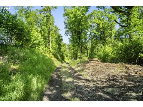 110 N Burke Road Woodland WA 98674