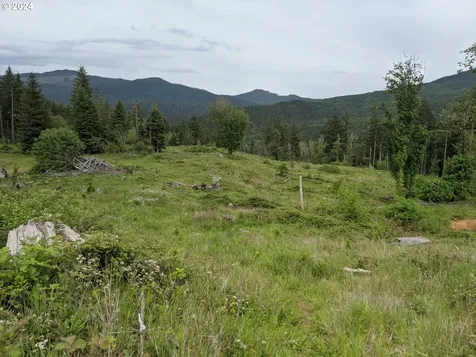 Rat Creek Cottage Grove OR 97424