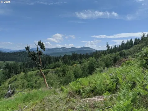 Rat Creek Cottage Grove OR 97424