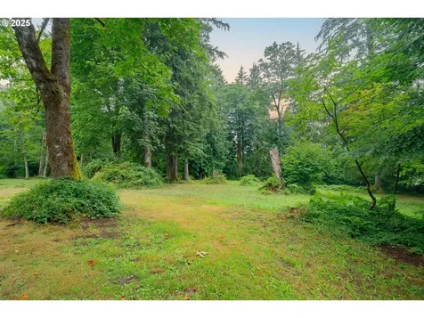 61 Morning Wings Road Washougal WA 98671