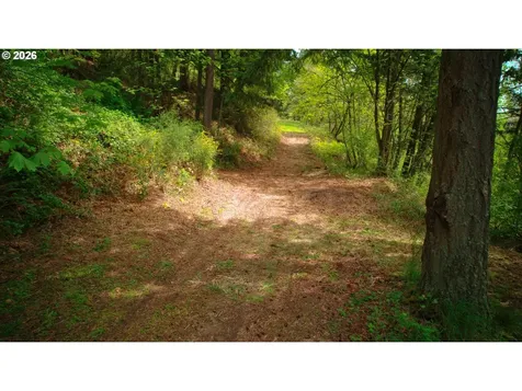 107 Legacy Drive Woodland WA 98674